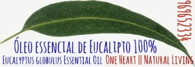Óleo Essencial de Eucalipto Glóbulos Bio10ml