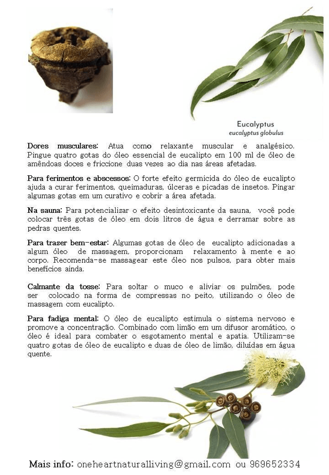 Óleo Essencial de Eucalipto Glóbulos Bio10ml