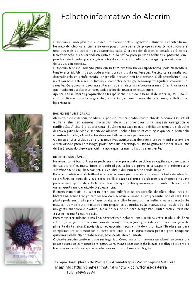 Óleo Essencial de Alecrim Bio10ml