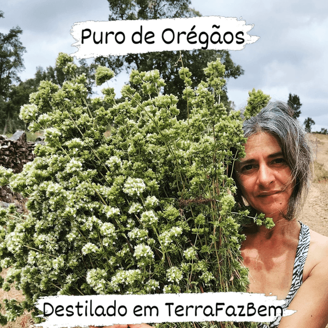 Óleo Essencial de Orégãos Bio 10ml