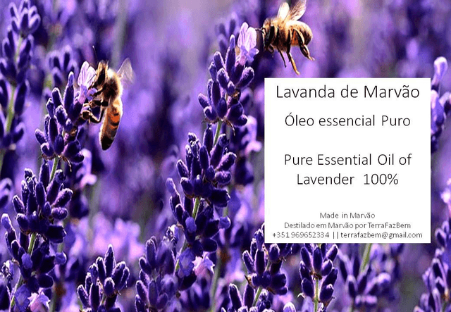 Óleo Essencial de Lavanda / Alfazema Bio10ml