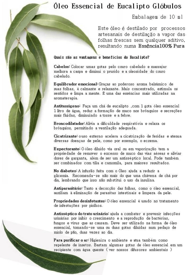 Óleo Essencial de Eucalipto Glóbulos Bio10ml