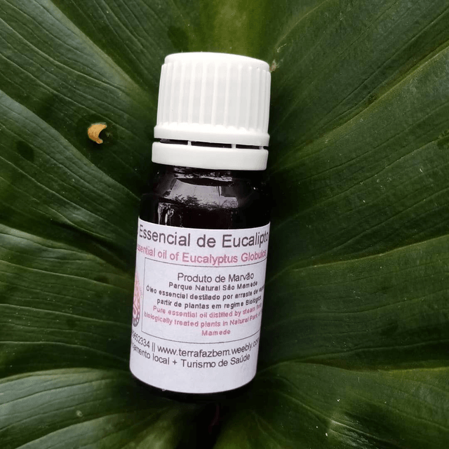 Óleo Essencial de Eucalipto Glóbulos Bio10ml